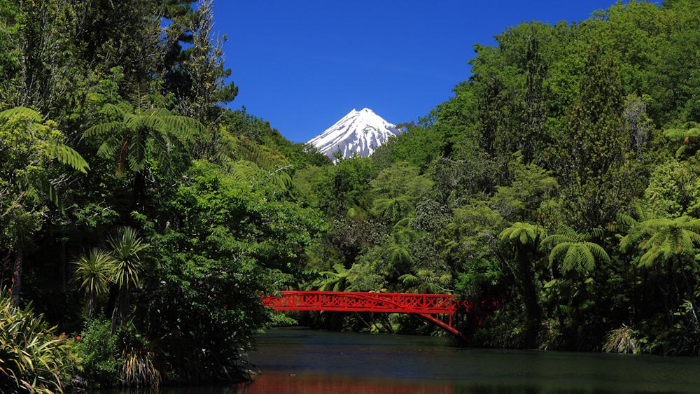 Crime scene evidence